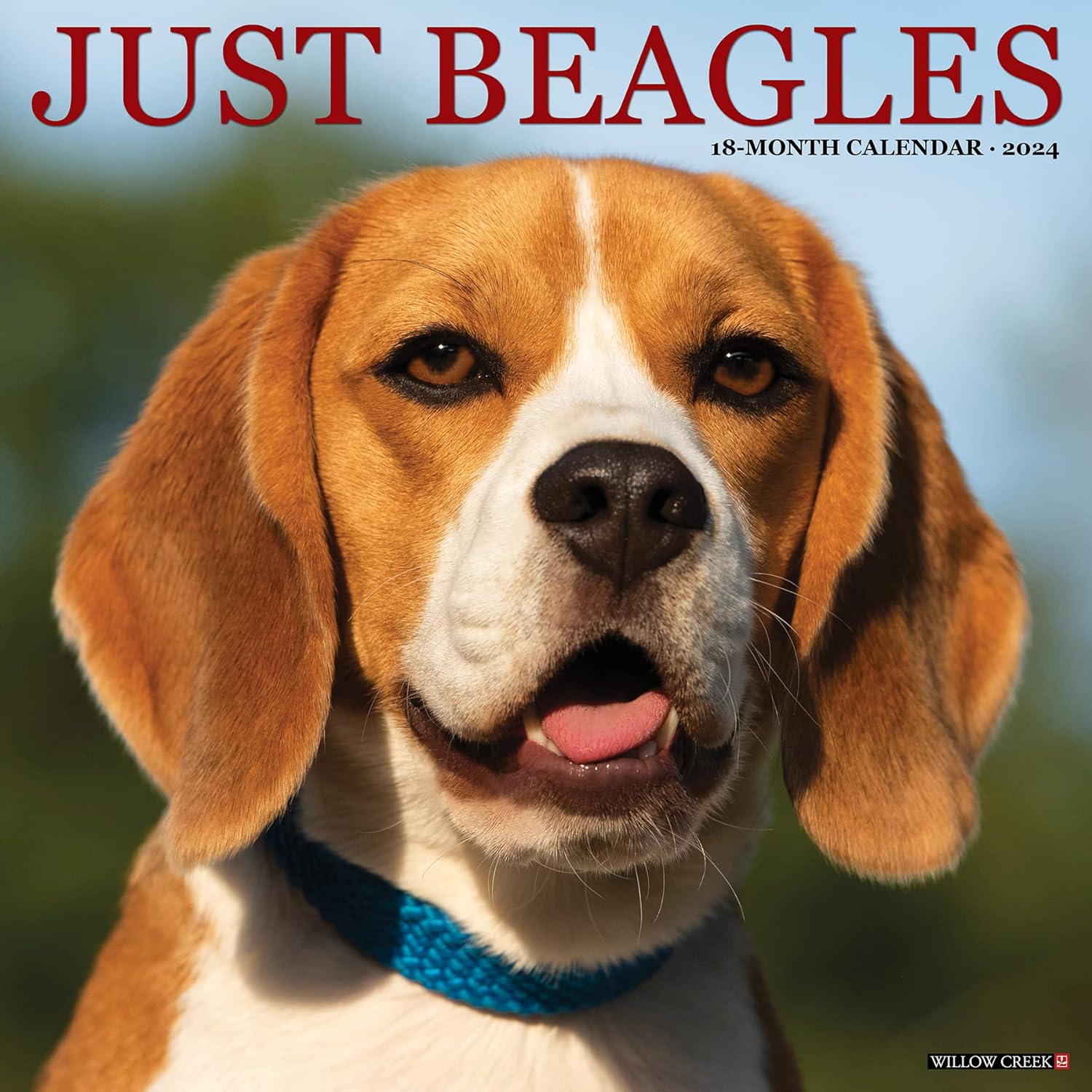 beagles-monthly-2024-wall-calendar