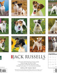 jack-russells-monthly-2024-wall-calendar