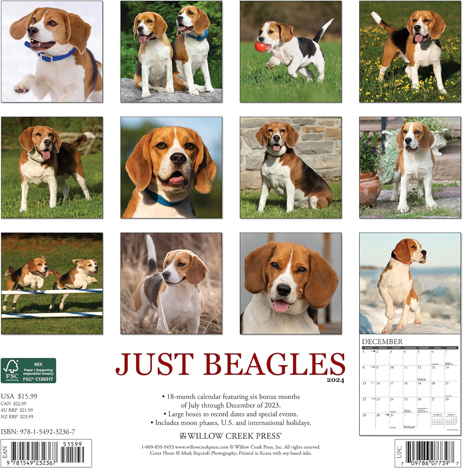 beagles-monthly-2024-wall-calendar