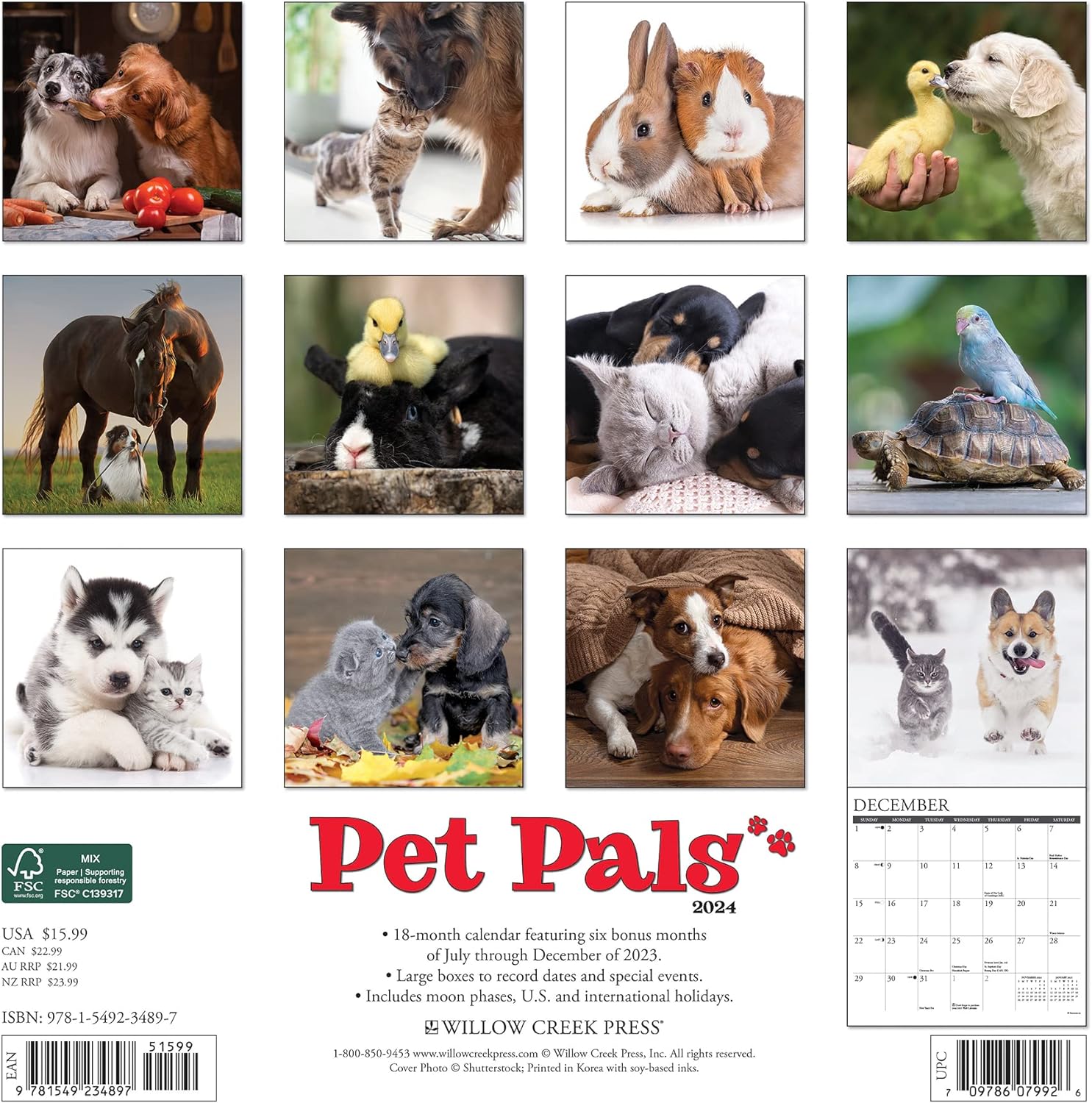 pet-pals-monthly-2024-wall-calendar