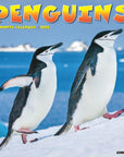 penguins-monthly-2024-wall-calendar