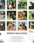 french-bulldogs-monthly-2024-wall-calendar