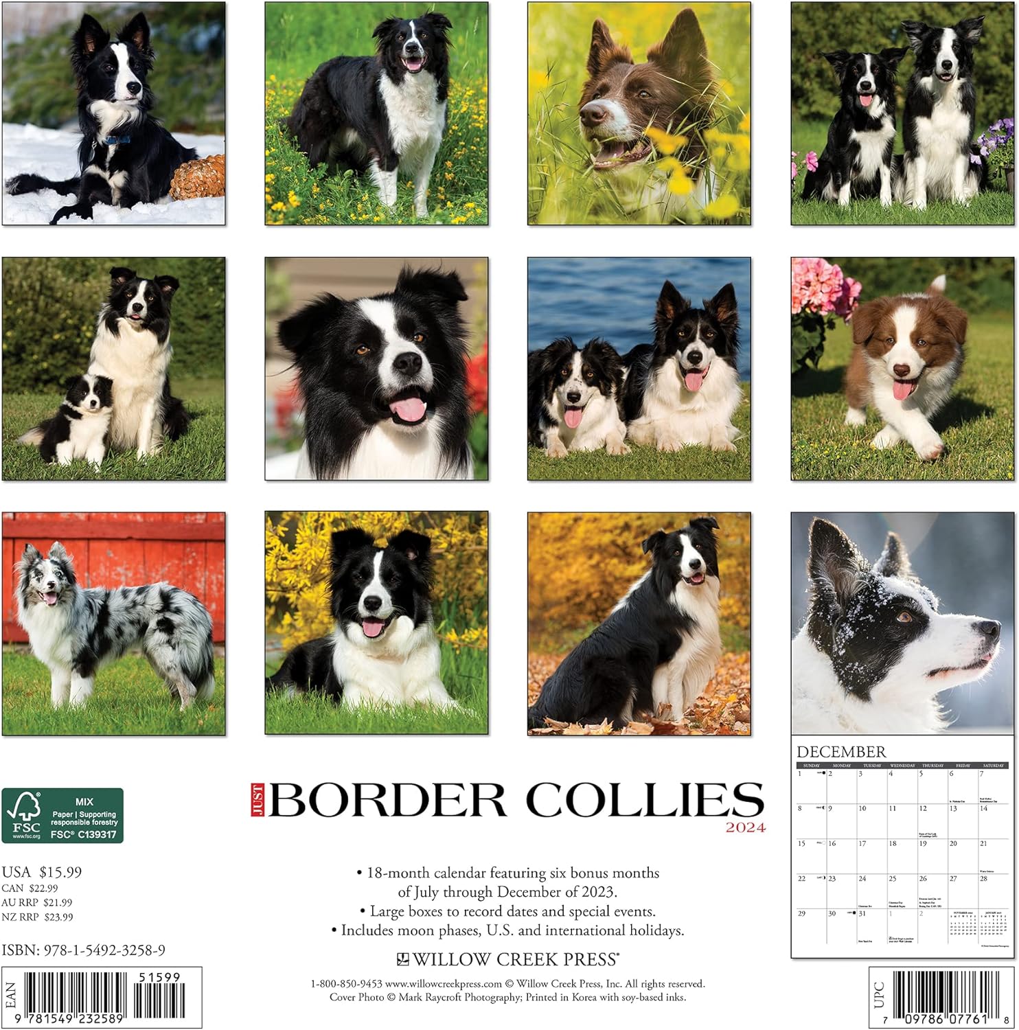 border-collies-monthly-2024-wall-calendar