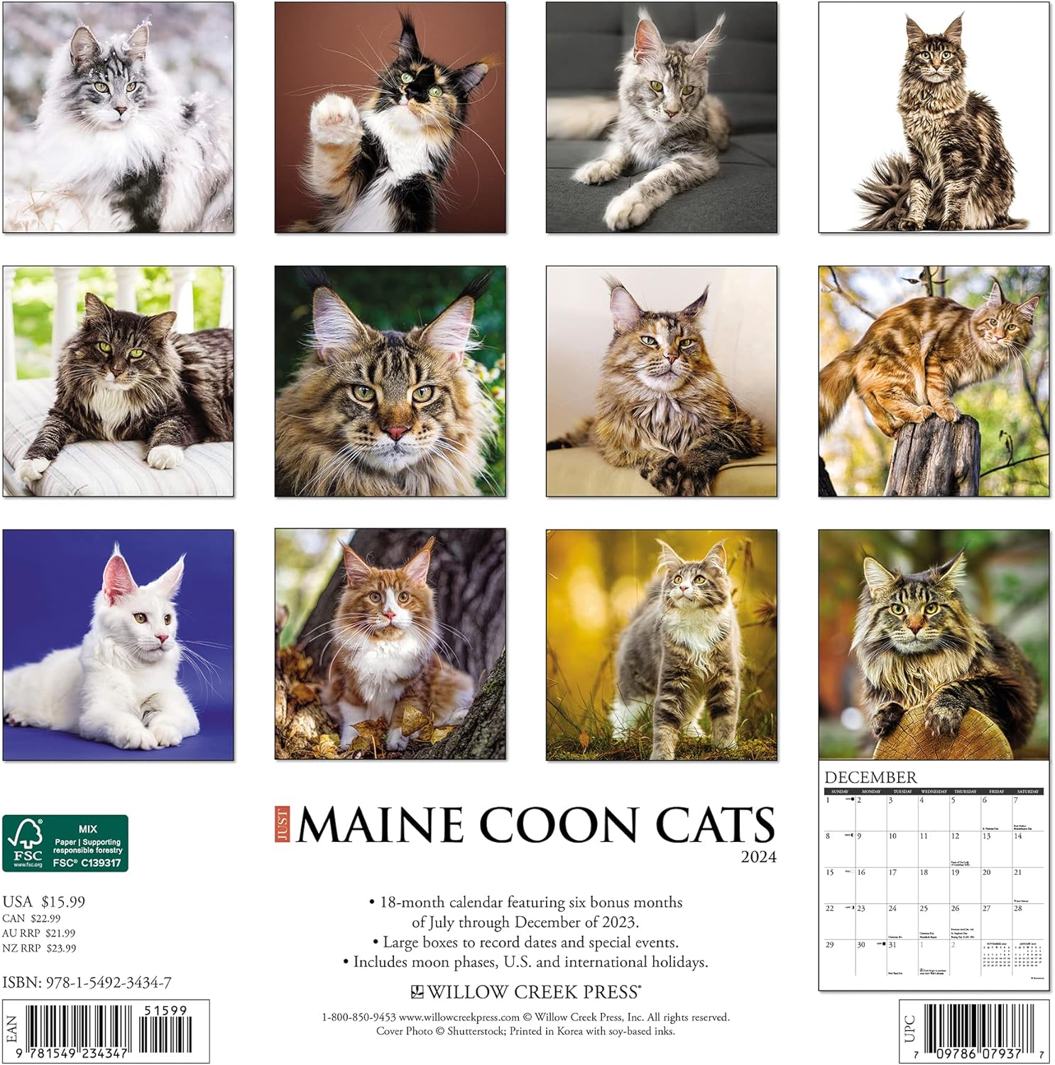 maine-coon-cats-monthly-2024-wall-calendar