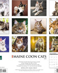 maine-coon-cats-monthly-2024-wall-calendar