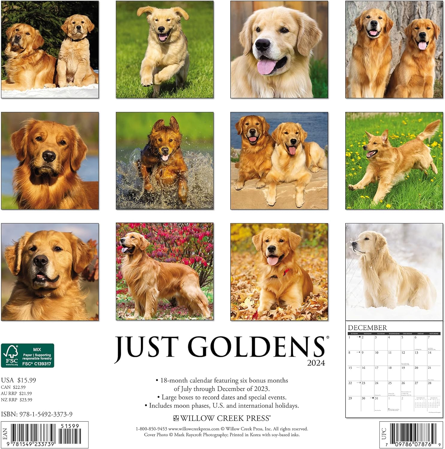 Goldens Monthly 2024 Wall Calendar Bookazine HK   81W7vecraUL. AC SL1500 