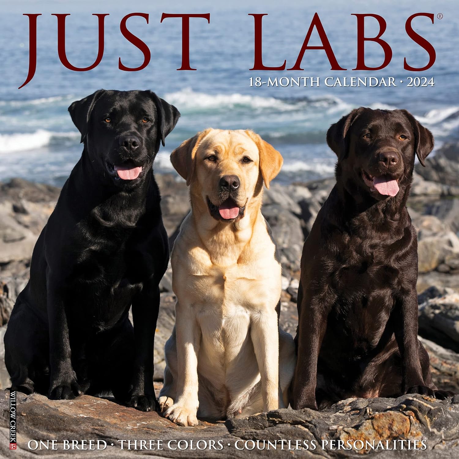 labs-monthly-2024-wall-calendar
