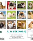 pekingese-monthly-2024-wall-calendar