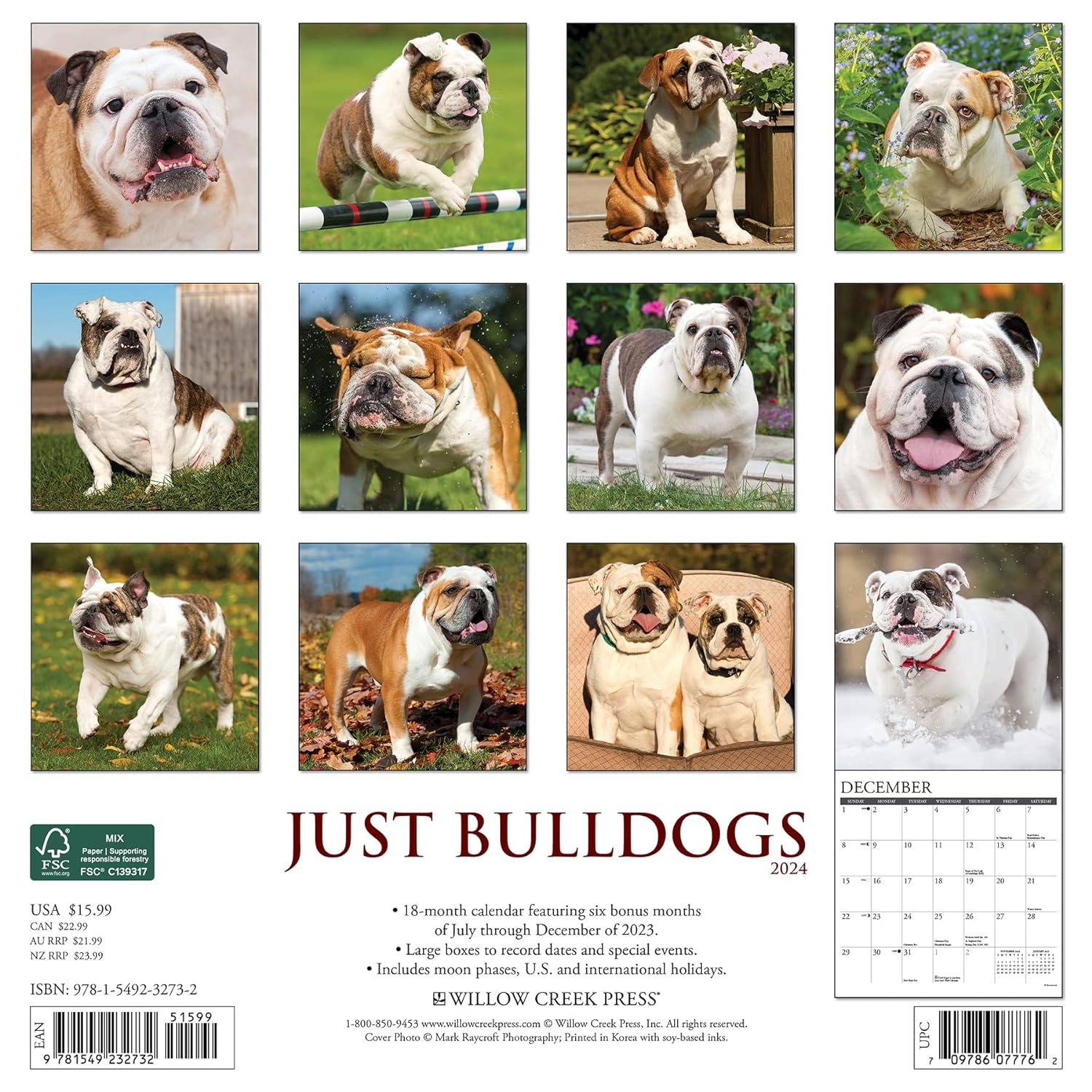 Bulldogs Monthly 2024 Wall Calendar Bookazine HK   81aPoZInwuL. SL1500 