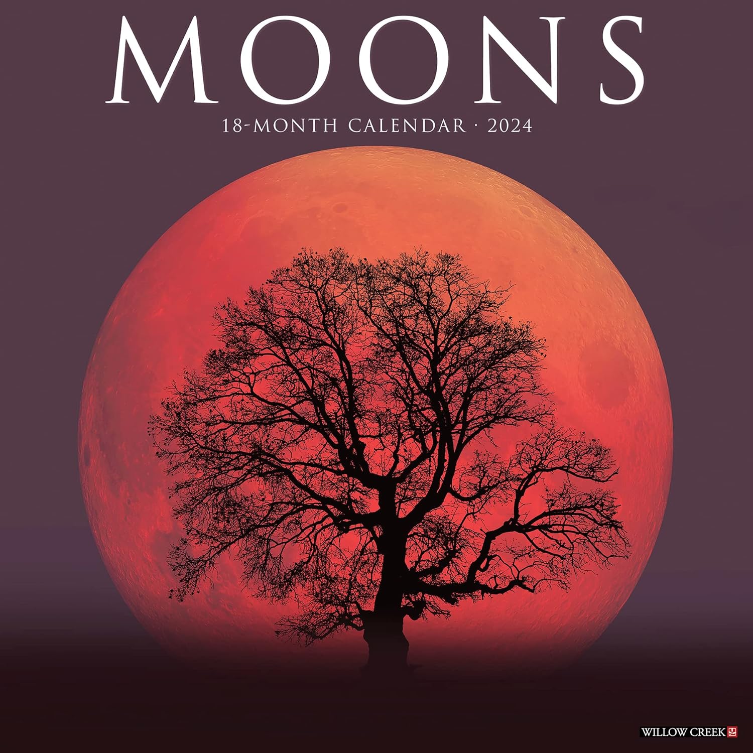 moons-monthly-2024-wall-calendar
