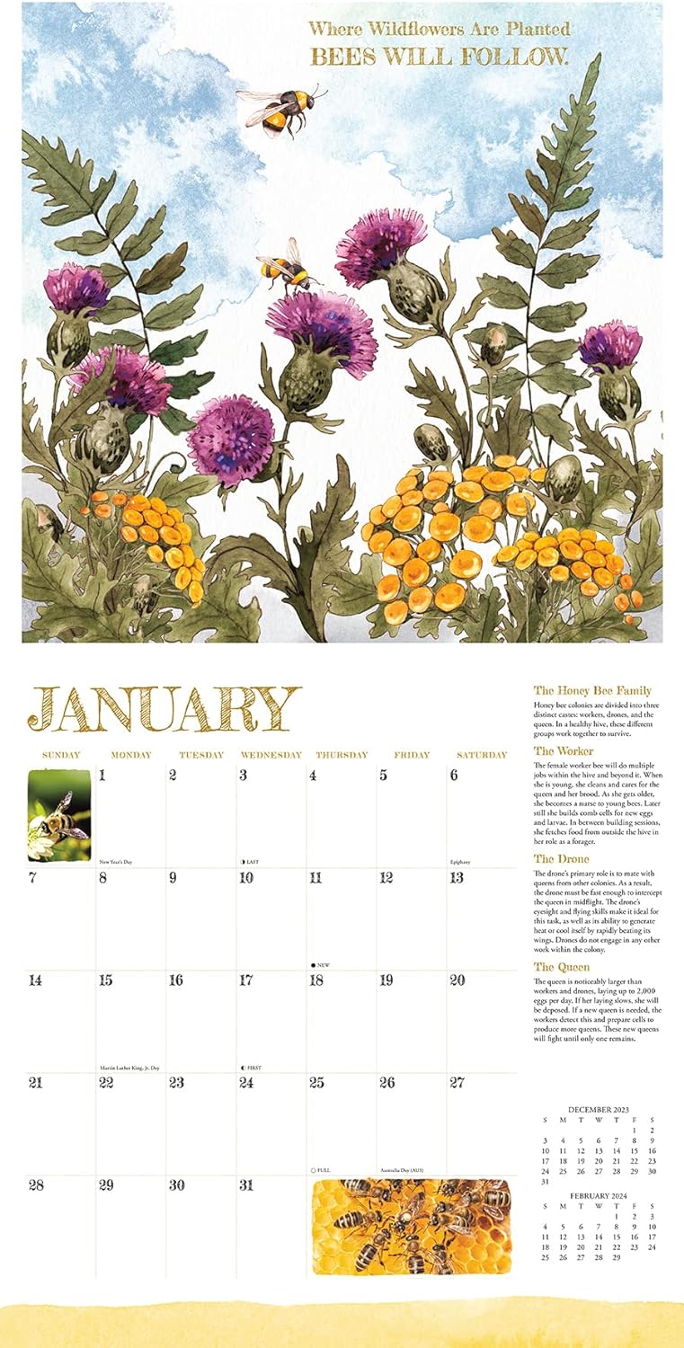 Reasons To Bee Monthly 2024 Wall Calendar | Bookazine HK