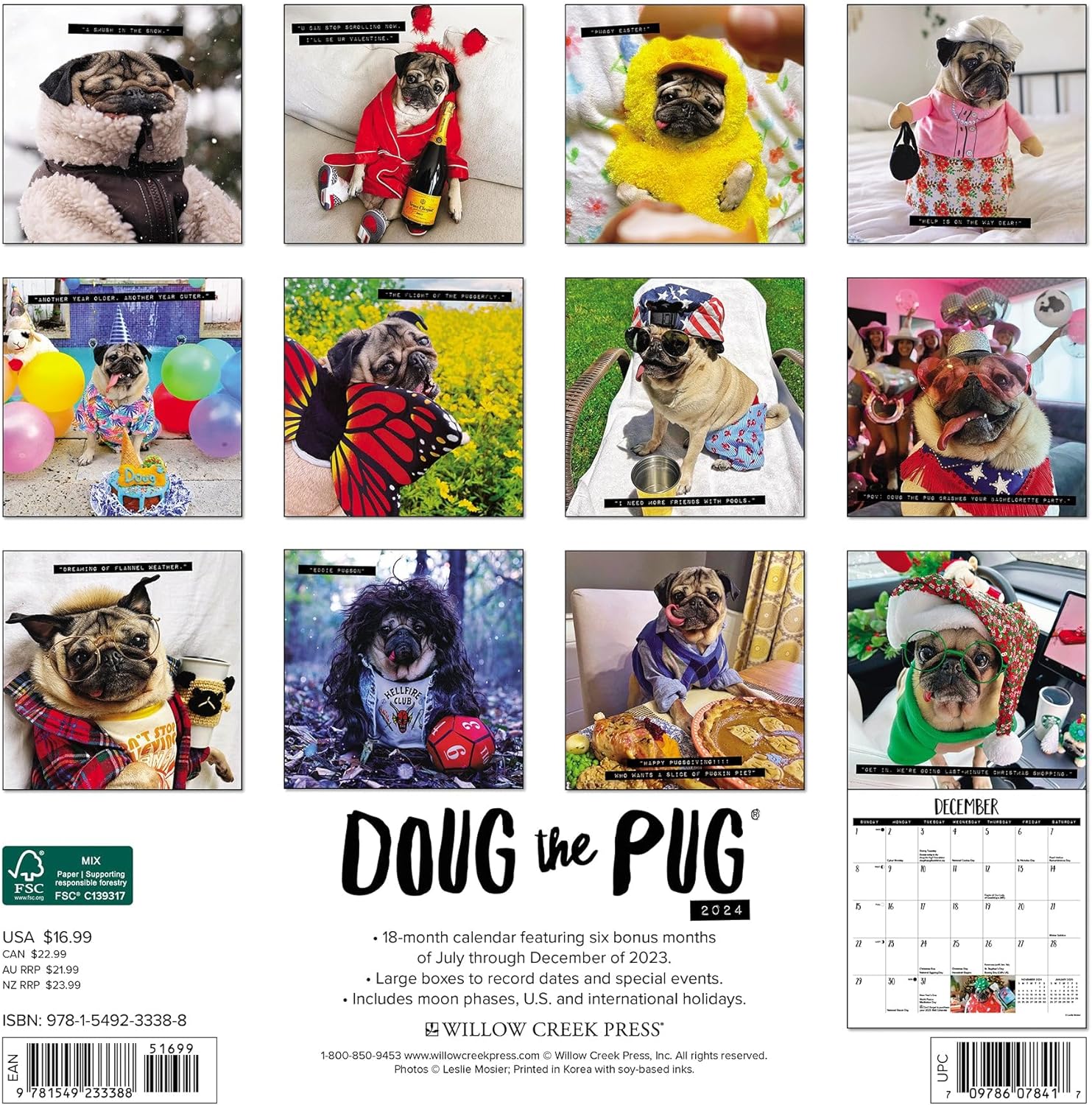 Doug The Pug Monthly 2024 Wall Calendar Bookazine HK   81euiAztbNL. AC SL1500 