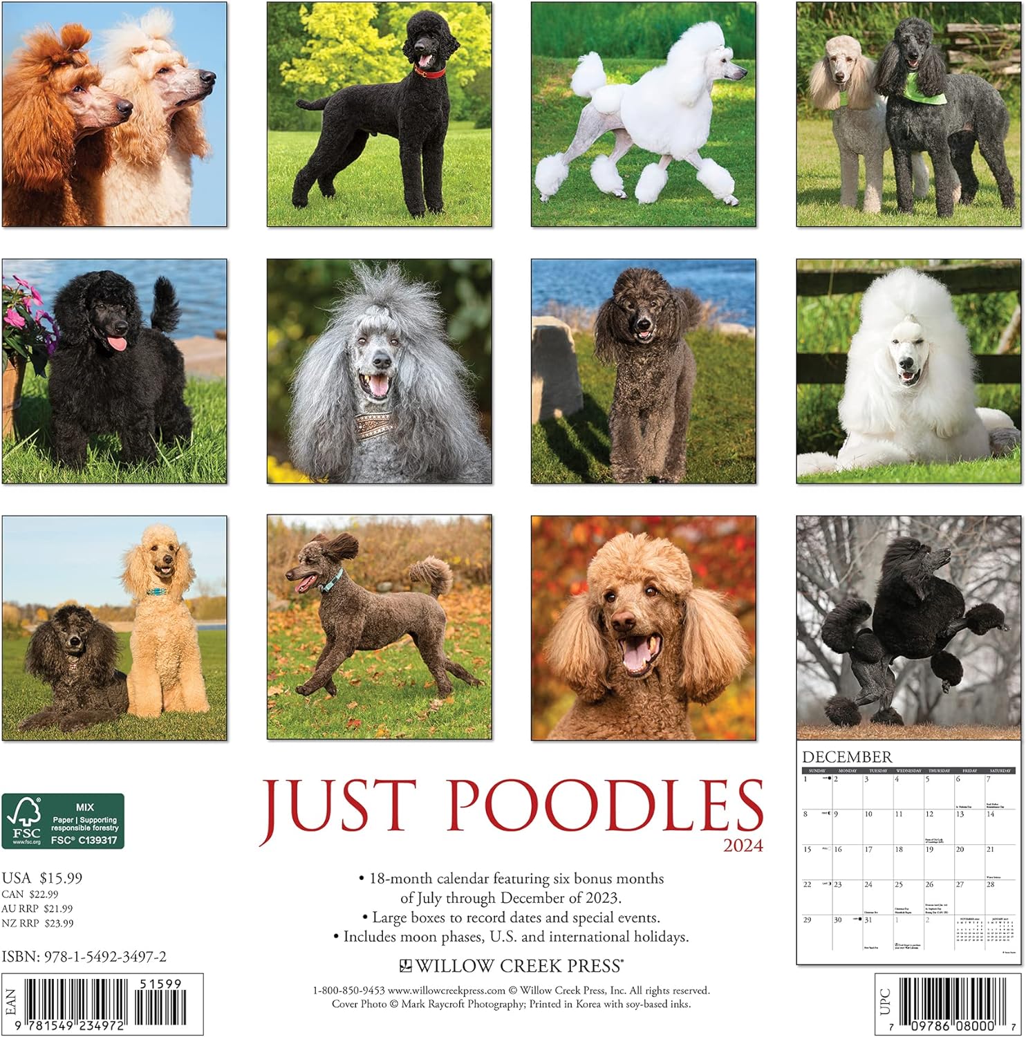 Poodles Monthly 2024 Wall Calendar Bookazine HK   81fLJ6D1bLL. AC SL1500 7ddaf5d5 8ab7 418f A71e 3cbb03834c07 