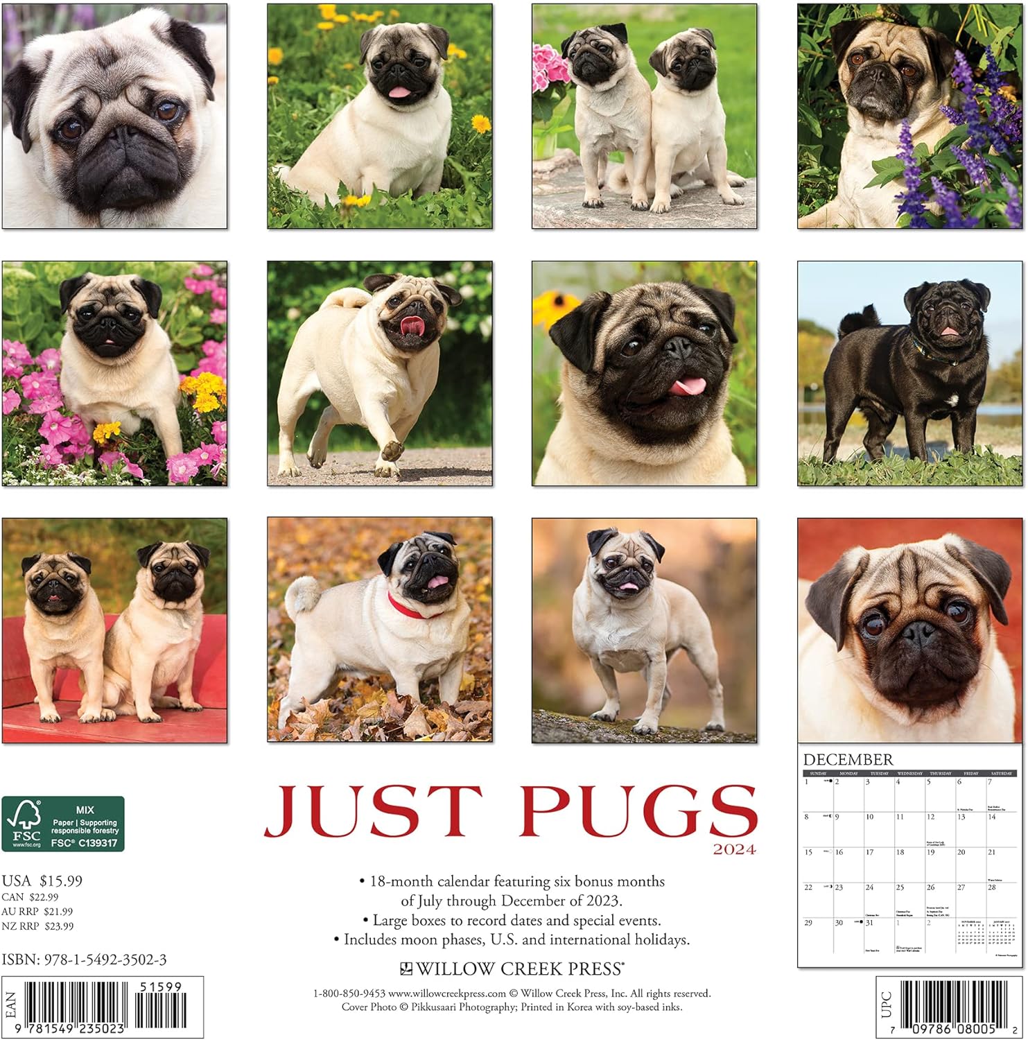 Pugs Monthly 2024 Wall Calendar Bookazine HK   81kyPfa1ywL. AC SL1500 