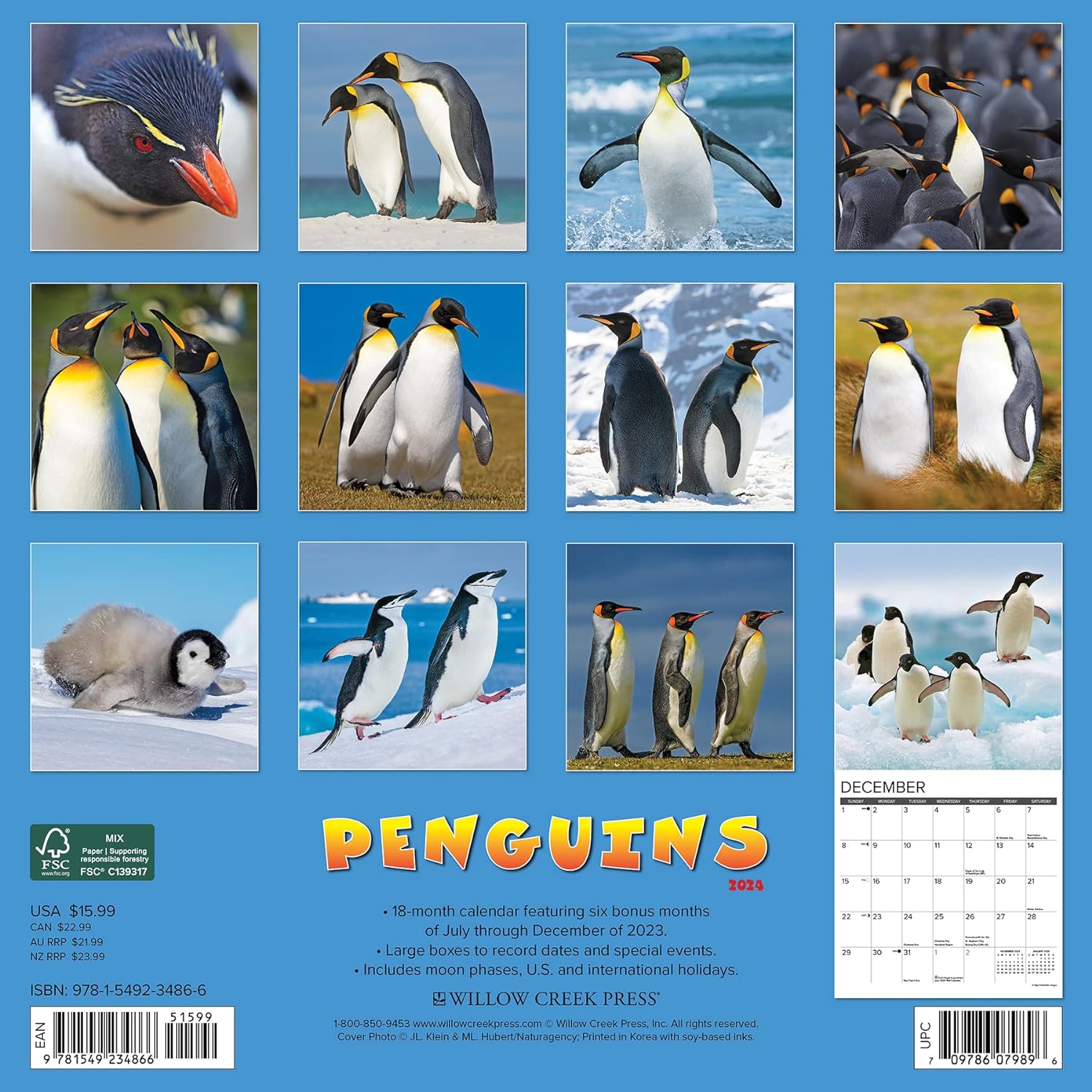 Penguins Monthly 2025 Wall Calendar Bookazine HK