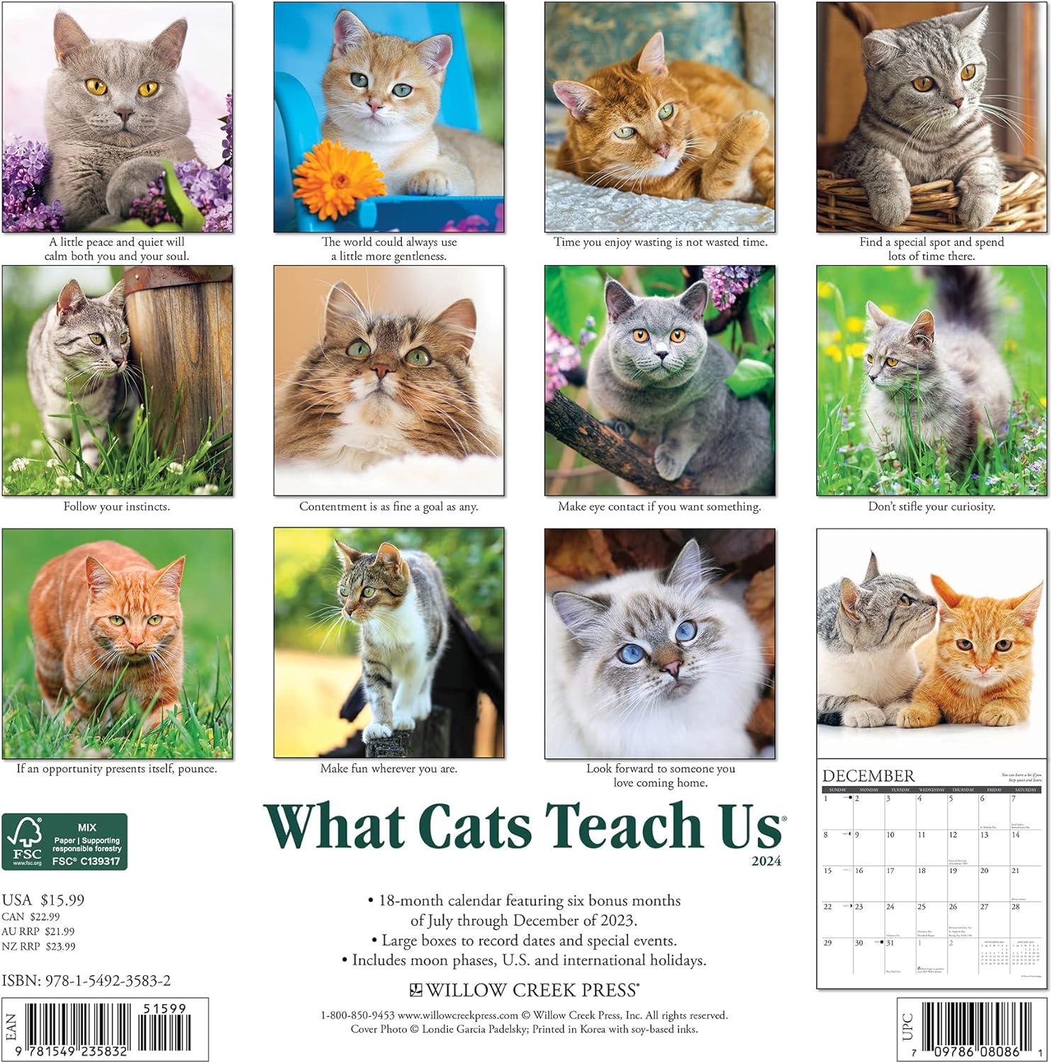 What Cats Teach Us Monthly 2024 Wall Calendar Bookazine HK   81qpRO9javL. AC SL1500 