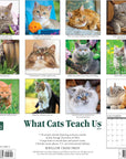 what-cats-teach-us-monthly-2024-wall-calendar