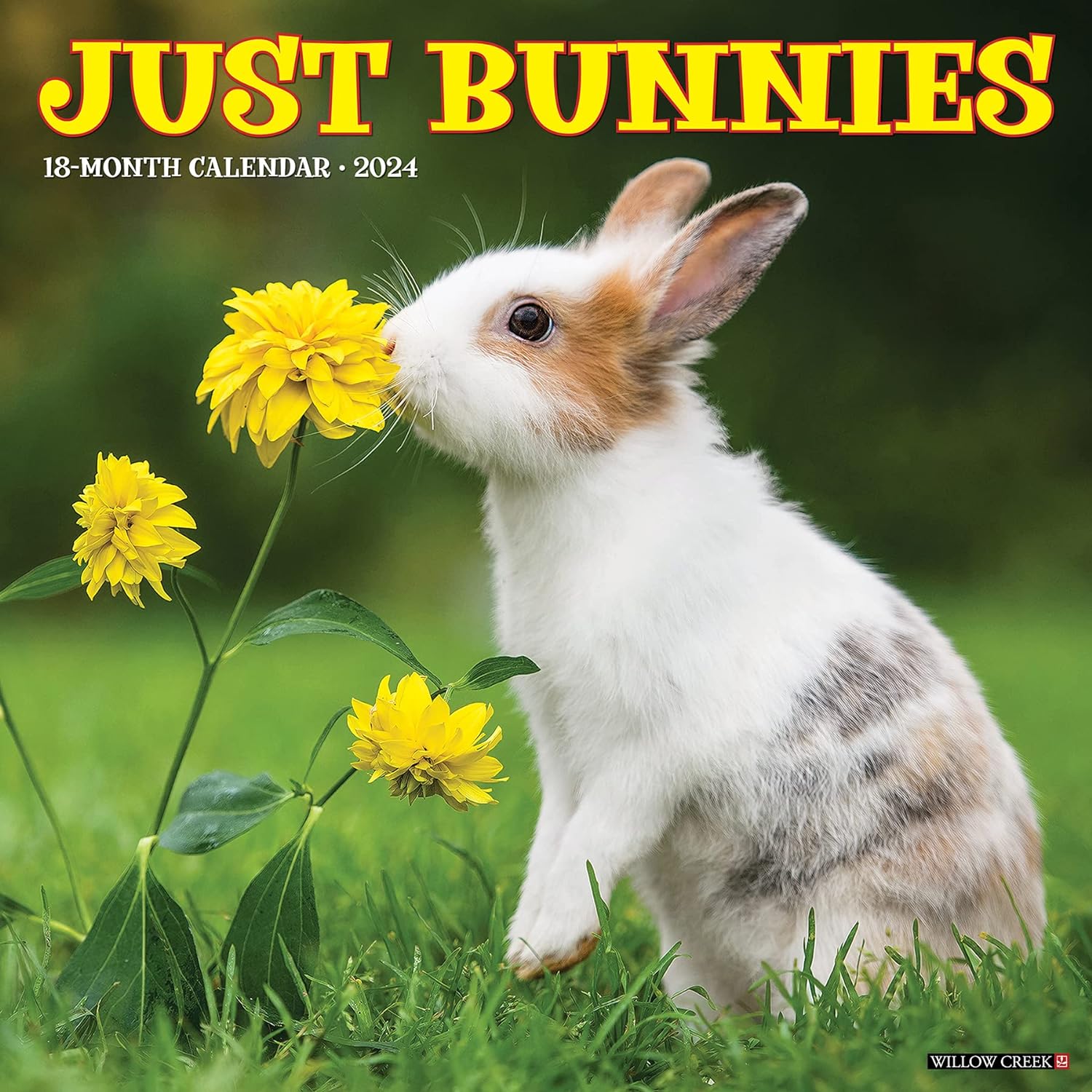 bunnies-monthly-2024-wall-calendar