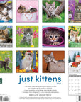kittens-monthly-2024-wall-calendar
