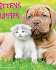 kittens-puppies-monthly-2024-wall-calendar
