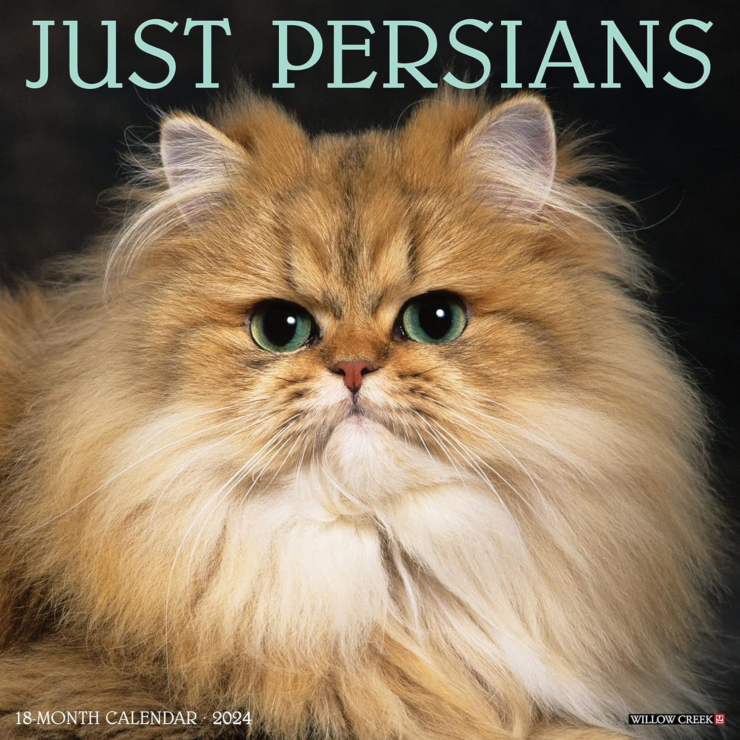 Persians Monthly 2024 Wall Calendar Bookazine HK   81uZpNmhx7L. SL1500 