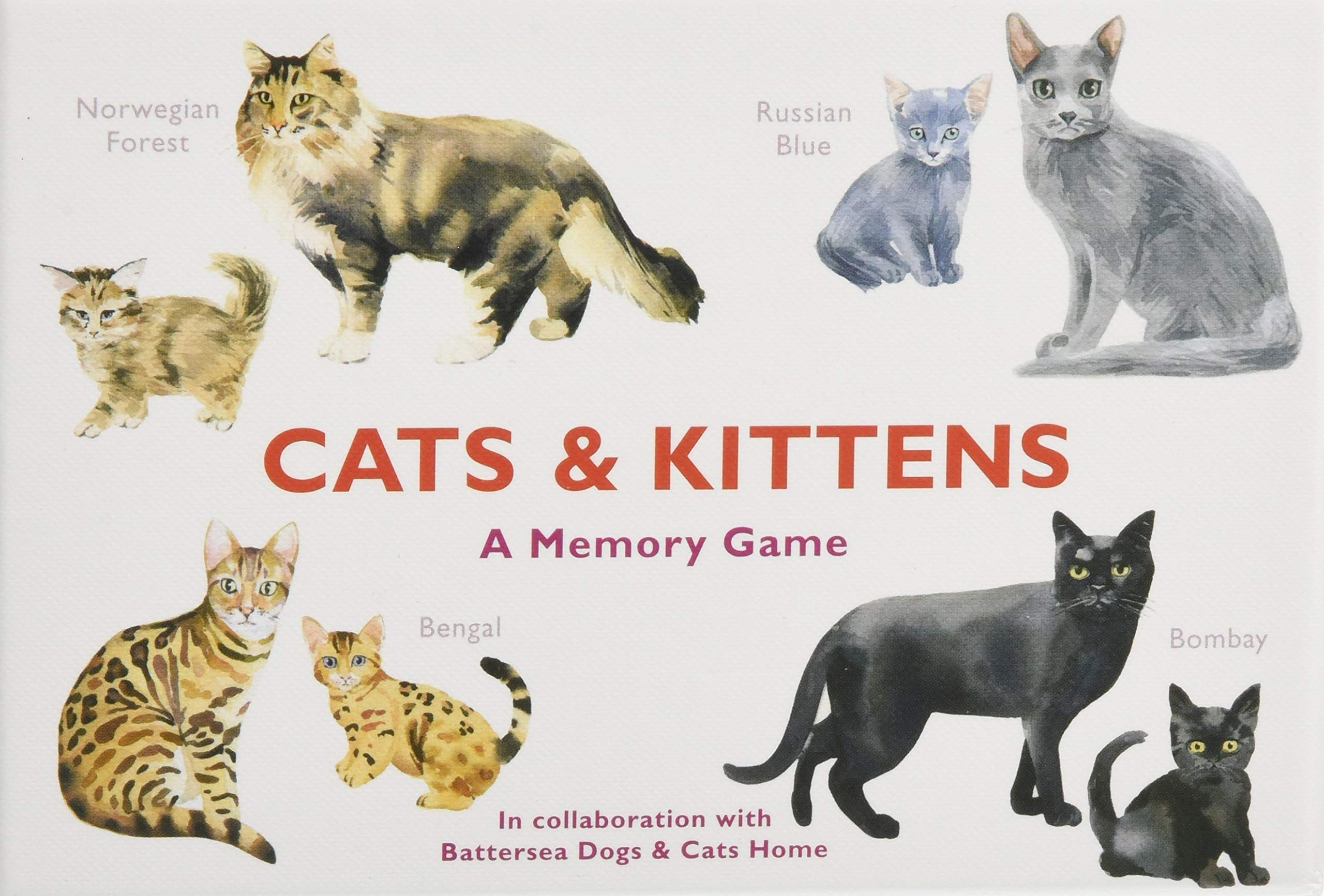 Cats &amp; Kittens A Memory Game