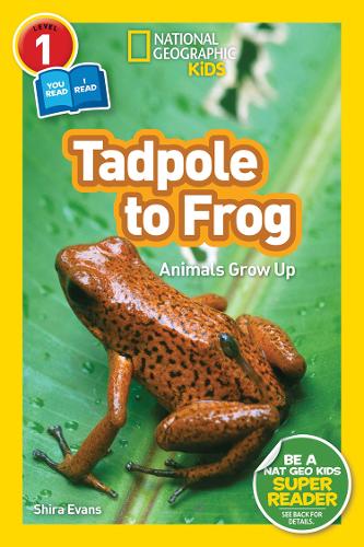 National Geographic Kids Readers: Tadpole to Frog (L1/Co-reader) (Readers)