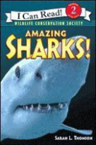 Amazing Sharks