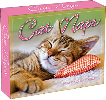 Cat Naps 2023 Boxed Daily Desk Calendar