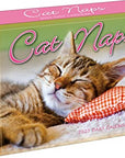 Cat Naps 2023 Boxed Daily Desk Calendar
