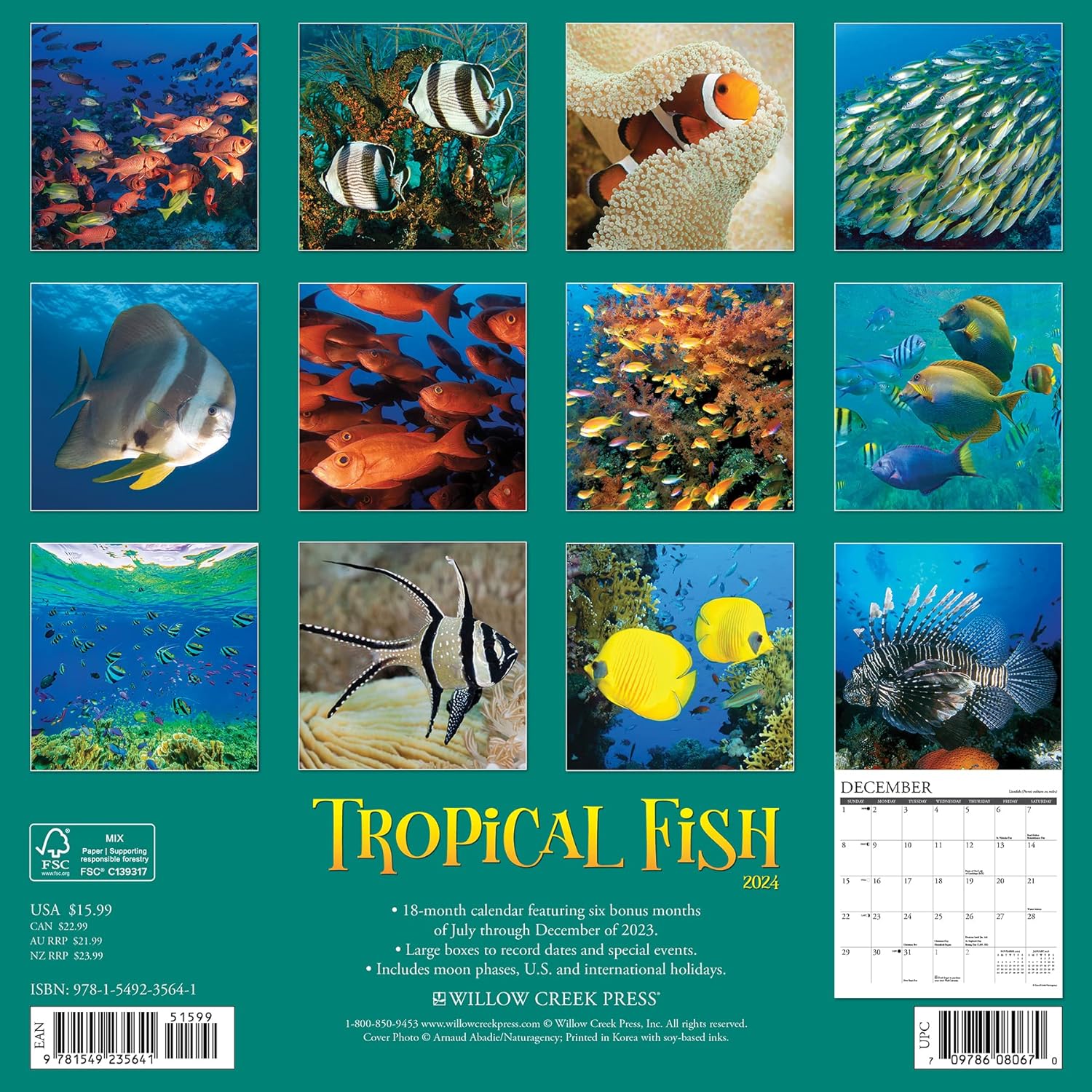 tropical-fish-monthly-2024-wall-calendar