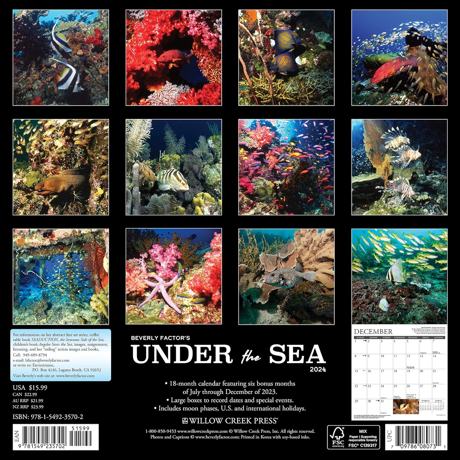 under-the-sea-monthly-2024-wall-calendar