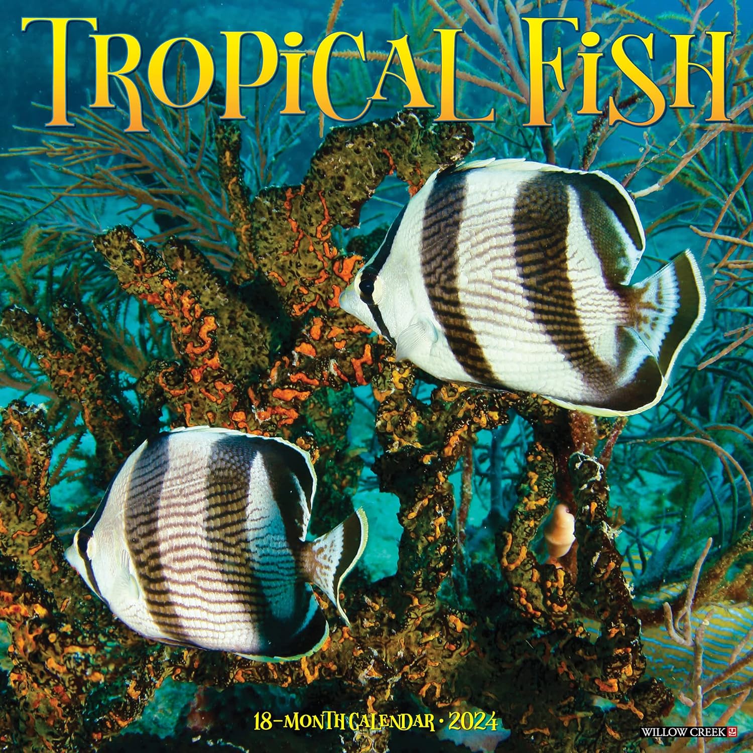 Tropical Fish Monthly 2024 Wall Calendar Bookazine HK   91tA6e3uZQL. SL1500 