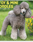 toy-miniature-poodles-monthly-2024-wall-calendar