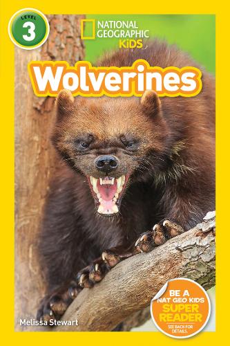 National Geographic Kids Readers: Wolverines (L3) (Readers)