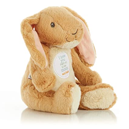 Guess How Much I Love You Nutbrown Hare Beanbag Plush 9Inch