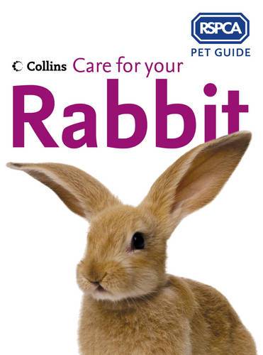 RSPCA: Care For Your Rabbit