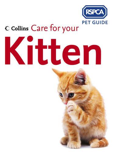 RSPCA: Care For Your Kitten