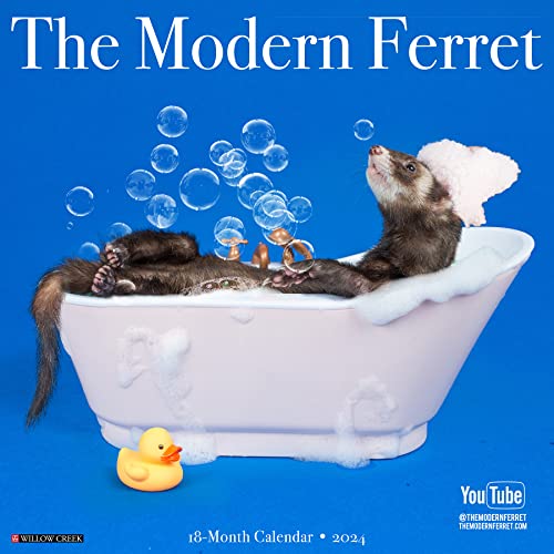 modern-ferret-2024-calendar