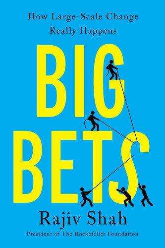 Big Bets: How Large-Scale Change Really Happens