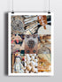 Ginny Malbon Brown Print | Bookazine HK