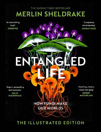 Entangled Life (The Illustrated Edition): A beautiful new gift edition featuring 100 illustrations for Christmas 2023