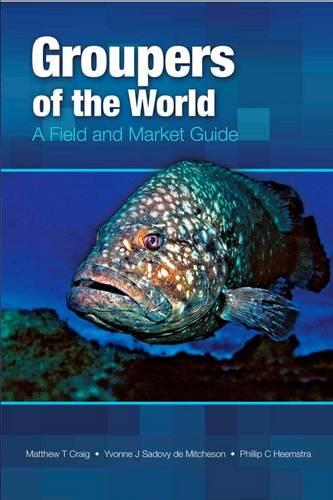 Groupers of the World: A Field and Market Guide