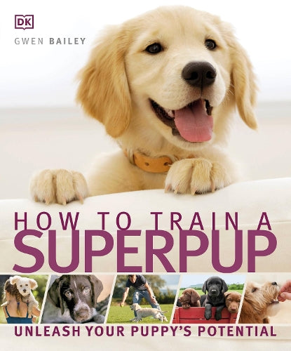 How to Train a Superpup: Unleash your puppy's potential