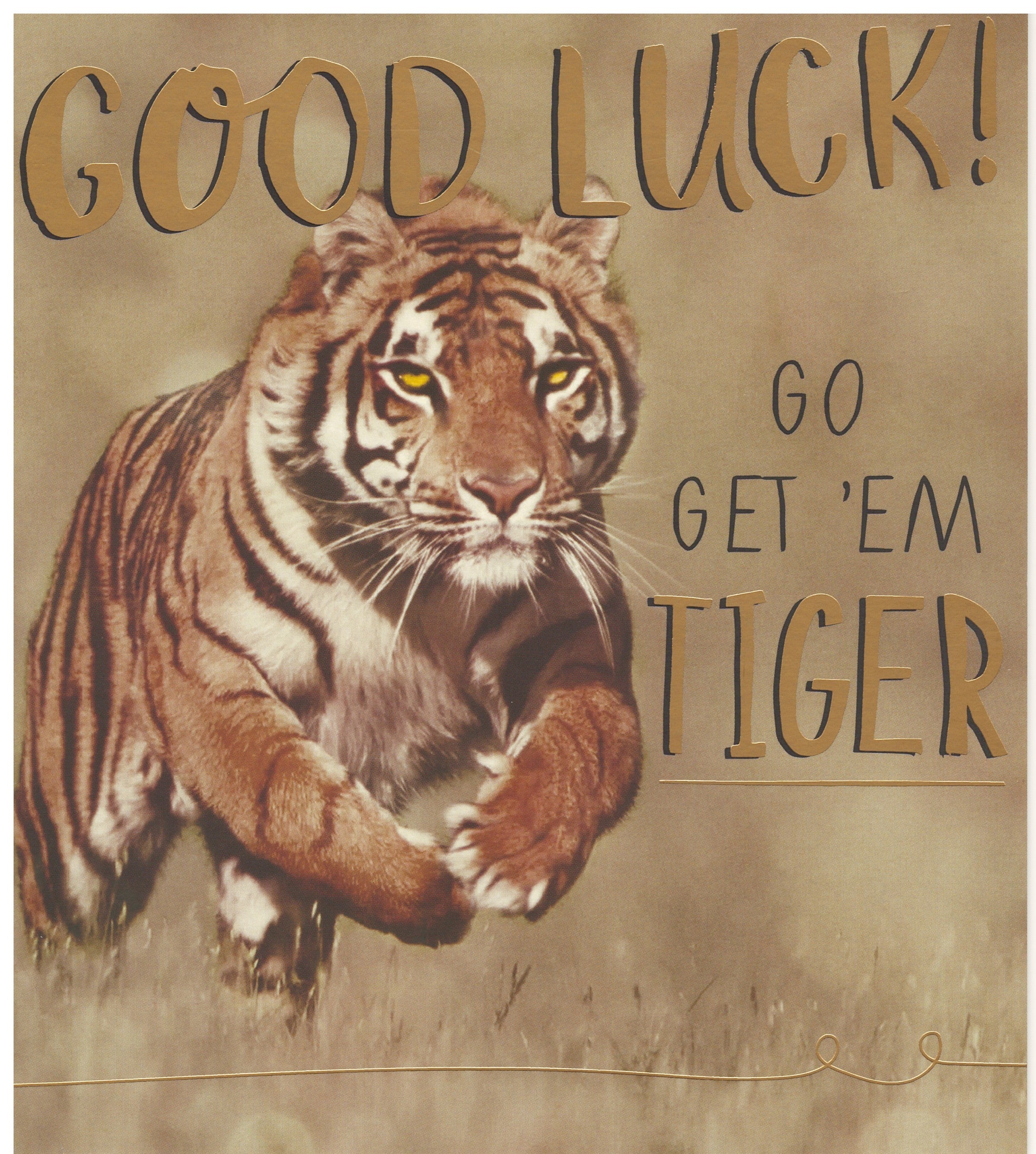Good luck! Go Get&#39;em Tiger - Bookazine