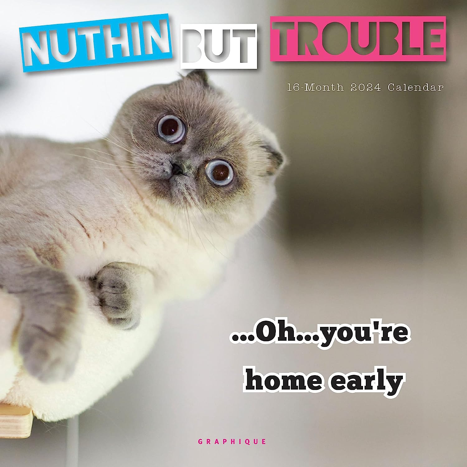 NUTHIN' BUT TROUBLE ( MINI )
