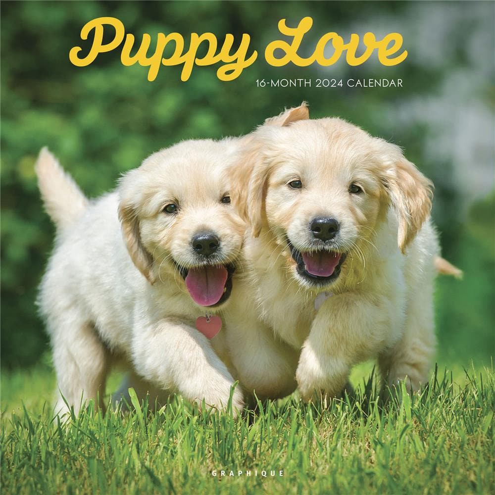 puppy-love-2024-wall-calendar