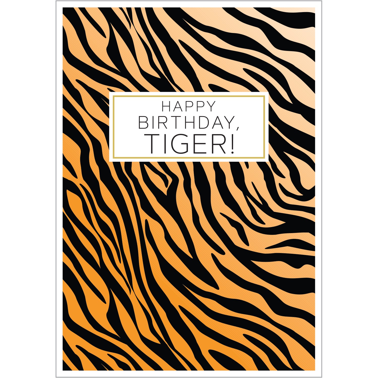 Happy Birthday, Tiger! - Bookazine