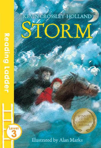 Storm (Reading Ladder Level 3)
