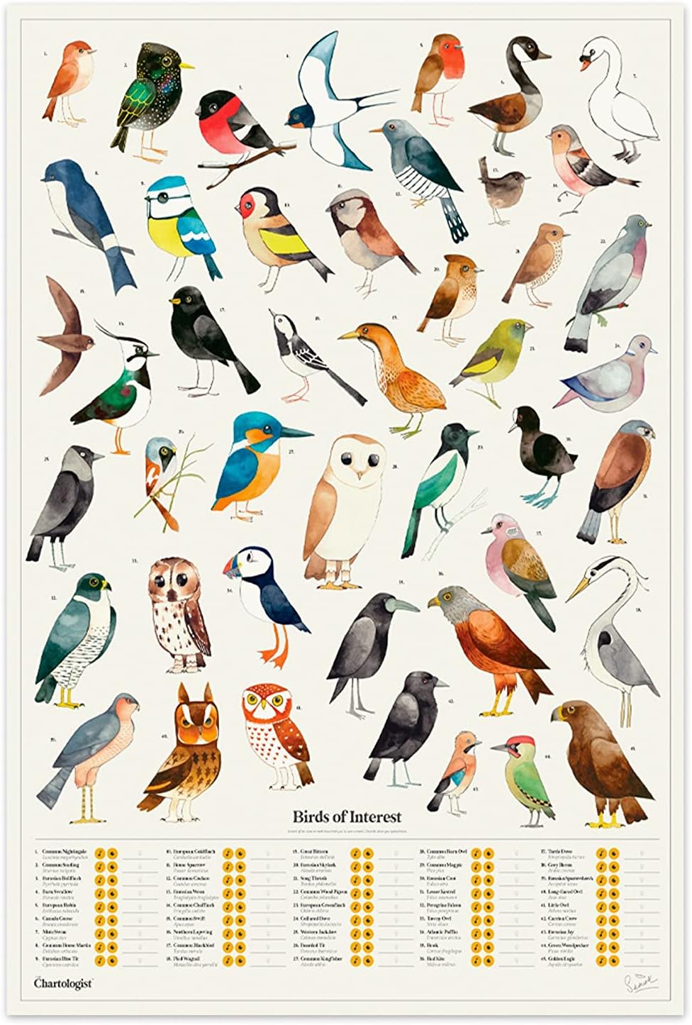 THE CHARTOLOGIST INTERACTIVE WALL ART – BIRDS OF INTEREST